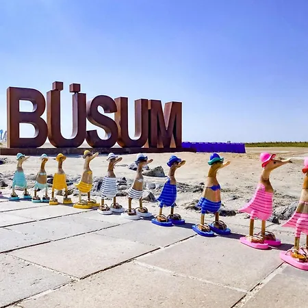 Smoeoegsch Lagune Busum